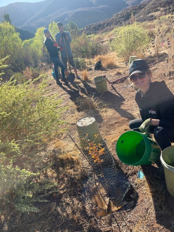 Forest Restoration with TreePeople 2021 Photo